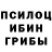 Псилоцибиновые грибы мицелий Emily Peak