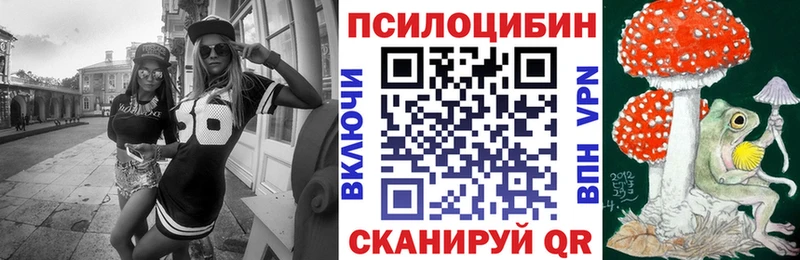 сколько стоит OMG tor Псилоцибиновые грибы мицелий Алзамай